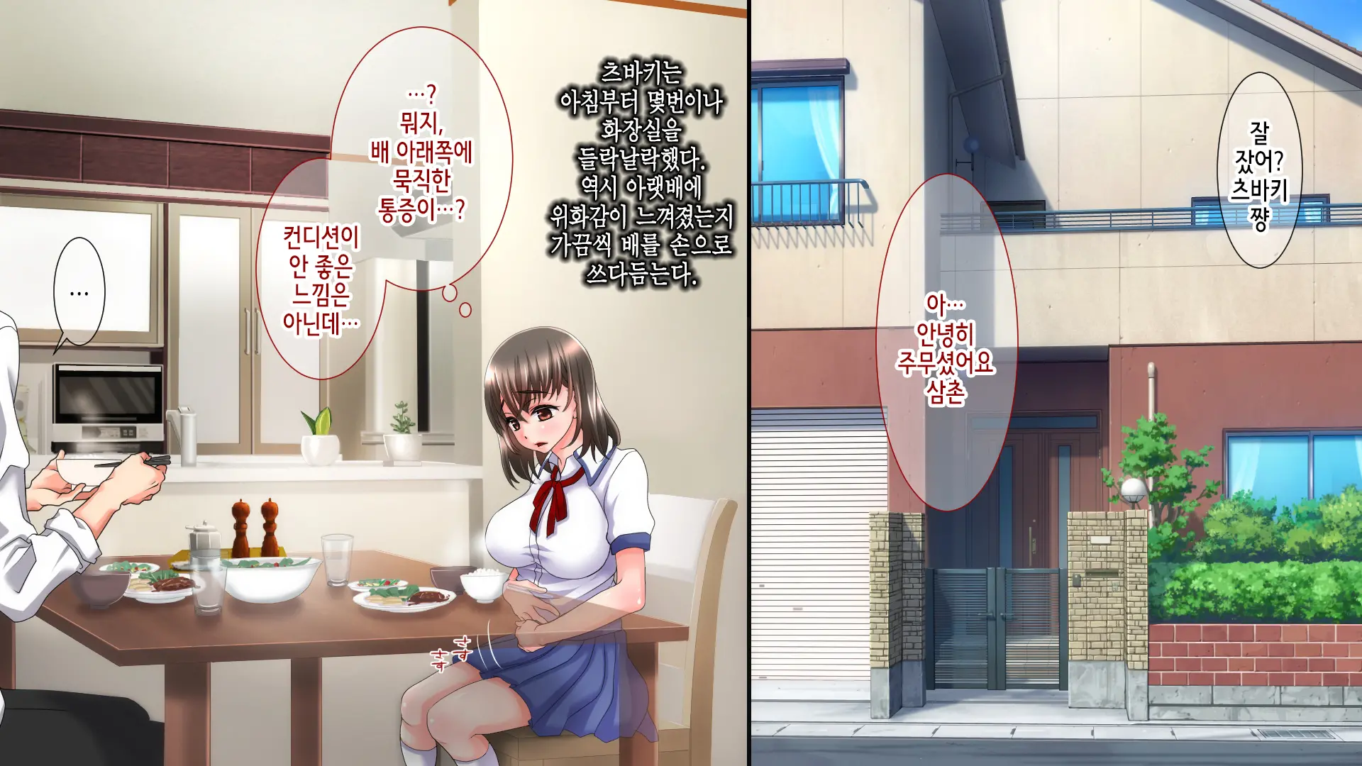 Ane No Wasuregatami No Mei O Ore Wa Okashita ~Zenpen~ | 누나가 죽고 남긴 조카를 나는 범했다 ~전편~